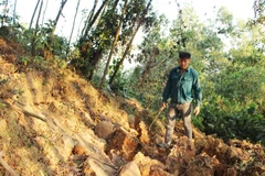 Địa điểm sạt lở cách khu vực khai thác than của Công ty cổ phần Yên Phước gần 200m. (Ảnh: Hoàng Nguyên/TTXVN) 