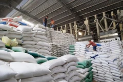 Doanh nghiệp chế biến gạo gặp khó vì lãi suất ngân hàng