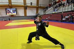 Bài dự thi của thí sinh tham gia Giải vô địch trình diễn kỹ thuật Võ Việt Nam toàn nước Pháp. (Ảnh: Nguyễn Thu Hà/TTXVN) 