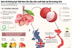 Quả vải không hạt Việt Nam lần đầu tiên xuất hiện tại thị trường Anh