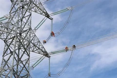 (Ảnh minh họa: Nguyễn Thành/TTXVN)