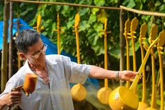 [Photo] Tìm hiểu các công đoạn làm đàn tính của người Cao Bằng