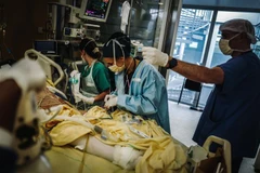 Nhân viên y tế điều trị cho bệnh nhân COVID-19 tại bệnh viện ở Paris, Pháp, ngày 14/10/2020. (Nguồn: AFP/TTXVN) 