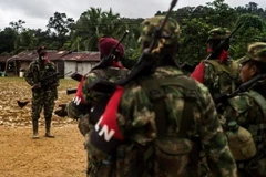 Các tay súng ELN. (Nguồn: laverdadnoticias.com) 