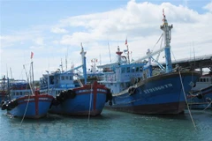 (Ảnh minh họa: Nguyễn Thành/TTXVN) 