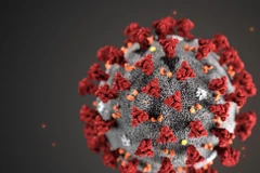 Ảnh minh họa. (Nguồn: genengnews.com) 