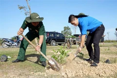 Trồng cây trên địa bàn huyện biên giới Tân Hồng, Đồng Tháp. (Ảnh: Nhựt An/TTXVN)