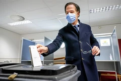 Thủ tướng Hà Lan Mark Rutte bỏ phiếu trong cuộc tổng tuyển cử tại điểm bầu cử ở La Hay, ngày 17/3/2021. (Nguồn: AFP/TTXVN) 