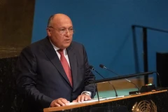 Ngoại trưởng Ai Cập Sameh Shoukry. (Ảnh: AFP/TTXVN) 
