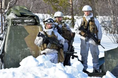 Na Uy không tham gia cuộc tập trận 'Joint Viking' vì phải đối phó với biến thể mới của SARS-CoV-2.(Nguồn: thebarentsobserver.com) 