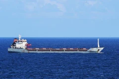 Tàu chở ngũ cốc của Ukraine tới ngoài khơi bờ biển thành phố Istanbul, Thổ Nhĩ Kỳ. (Nguồn: THX/TTXVN)