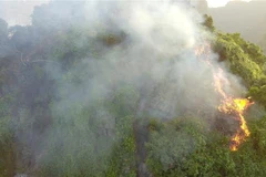 Hiện trường vụ cháy rừng trên núi đá tại thôn Dưỡng Thượng, xã Ninh Vân, huyện Hoa Lư. (Ảnh: Minh Đức/TTXVN) 