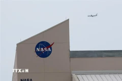 Ảnh minh họa. (Nguồn: TTXVN)