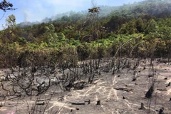 Hiện trường đám cháy. (Nguồn: truyenhinhnghean.vn) 