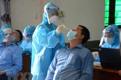 Nhân viên y tế tiến hành lấy mẫu xét nghiệm. (Ảnh: Quốc Dũng/TTXVN) 