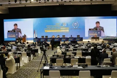 Chủ nhiệm Ủy ban Đối ngoại Vũ Hải Hà làm Trưởng đoàn đã tham dự và phát biểu tại phiên họp toàn thể. (Ảnh: Hữu Chiến-Đình Ánh/TTXVN) 