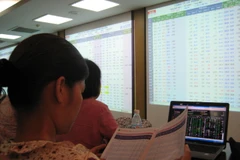 Ảnh minh họa. (Nguồn: PV/Vietnam+) 