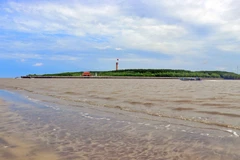 [Photo] Khám phá sự kỳ thú của cồn cát ngoài khơi Mũi Cà Mau
