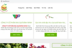 Bưởi năm roi của Vĩnh Long đã được xây dựng trực tuyến qua website giới thiệu sản phẩm kết hợp bán hàng trực tuyến. 
