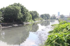 Rạch Xuyên Tâm, đoạn qua địa bàn quận Bình Thạnh, bị ô nhiễm trầm trọng. (Ảnh: Trần Xuân Tình/TTXVN) 