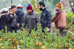 Bắc Bộ, Bắc Trung Bộ duy trì tình trạng rét từ ngày 30 đến mùng 8 Tết. (Ảnh: Thanh Tùng/TTXVN)