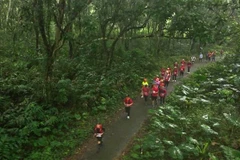 Du khách trong và ngoài nước tham gia Giải Chạy Thể thao Quần chúng Quốc tế "Cúc Phương Jungle Paths 2023" tổ chức tại Ninh Bình. (Ảnh: Thùy Dung/TTXVN)