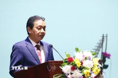 Thứ trưởng Hoàng Đạo Cương. (Nguồn: TTXVN)