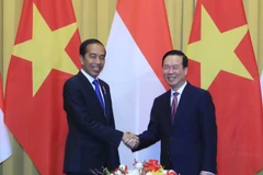 Chủ tịch nước Võ Văn Thưởng với Tổng thống Cộng hòa Indonesia Joko Widodo tại buổi hội đàm. (Ảnh: Thống Nhất/TTXVN)