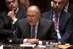 Ngoại trưởng Ai Cập Sameh Shoukry. (Nguồn: Reuters) 