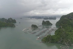 ​Vịnh Bái Tử Long. (Ảnh: Lâm Phan/Vietnam+) 
