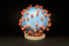 Ảnh minh họa. (Nguồn: Flickr) 