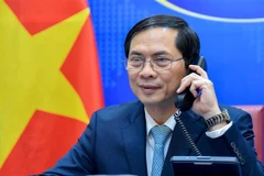 Bộ trưởng Bộ Ngoại giao Bùi Thanh Sơn điện đàm với Bộ trưởng (thứ hai) Bộ Ngoại giao Brunei, ông Dato Erywan Pehin Yusof. (Nguồn: TTXVN phát) 