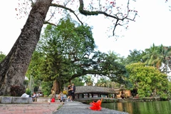 Một góc chùa Thầy. (Ảnh: Xuân Mai/Vietnam+)