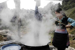 Gia đình chị Sùng Y Thanh, dân tộc Mông ở xóm Pà Cò 1, xã Pà Cò, huyện Mai Châu, Hòa Bình vay vốn chương trình hộ nghèo đầu tư mua nguyên liệu làm vải thổ cẩm, chăn nuôi bò sinh sản, gia đình có việc làm có thêm thu nhập. (Ảnh: Trần Việt/TTXVN) 