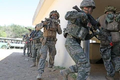 Binh sỹ Mỹ và Hàn Quốc tham gia một cuộc tập trận chung tại Pohang, Hàn Quốc. (Ảnh: Yonhap/TTXVN)