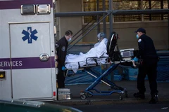 Nhân viên y tế chuyển bệnh nhân mắc COVID-19 tới Trung tâm y tế NYU Langone ở New York, Mỹ ngày 8/4/2020. (Nguồn: THX/TTXVN) 