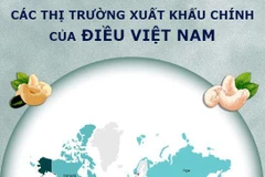 [Infographics] Các thị trường xuất khẩu chính của điều Việt Nam