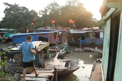 Hình ảnh làng chài duy nhất giữa lòng thành phố Hải Phòng