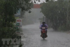 Ảnh minh họa. (Nguồn: TTXVN) 