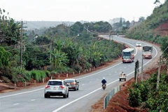 (Ảnh minh họa: Dương Giang/TTXVN) 