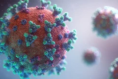 Thuốc Camostat có hiệu quả trong việc giảm số lượng virus SARS-CoV-2 trong các phế quản. (Nguồn: fujifilm.eu) 