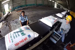 Vận chuyển đạm Phú Mỹ tại kho sản phẩm của Tổng công ty tại Cần Thơ. (Ảnh minh họa: Huy Hùng/TTXVN) 