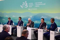 Các diễn giả tại buổi thảo luận. (Ảnh: TTXVN phát) 