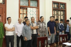 Các đối tượng đánh bạc dưới hình thức xóc đĩa bị bắt giữ. (Ảnh: Trịnh Duy Hưng/TTXVN)