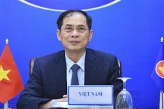 Bộ trưởng Bộ Ngoại giao Bùi Thanh Sơn. (Ảnh: TTXVN) 
