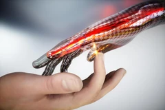 (Nguồn: scitechdaily.com) 