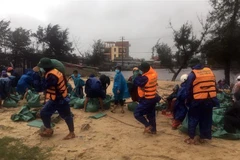 Hàng trăm cán bộ, chiến sỹ và người dân Thừa Thiên-Huế gia cố bờ biển sạt lở. (Ảnh: TTXVN phát) 