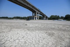 Lòng sông khô cạn do hạn hán, tại Boretto, đông bắc Parma, Italy, ngày 15/6/2022. (Ảnh: AFP/TTXVN) 