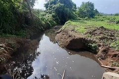 Nước của dòng suối Bà Tài có màu nước đen ngòm và hôi thối nồng nặc, khiến nhiều năm nay người dân 2 ấp Nghi Lộc và Đông Linh không thể lấy nước để tưới tiêu cho ruộng lúa và hoa màu. (Ảnh: Hoàng Nhị/TTXVN) 