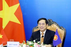 Bộ trưởng Bộ Ngoại giao Bùi Thanh Sơn. (Ảnh: Phạm Kiên/TTXVN) 